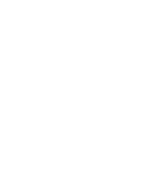 Well Netoha Logo